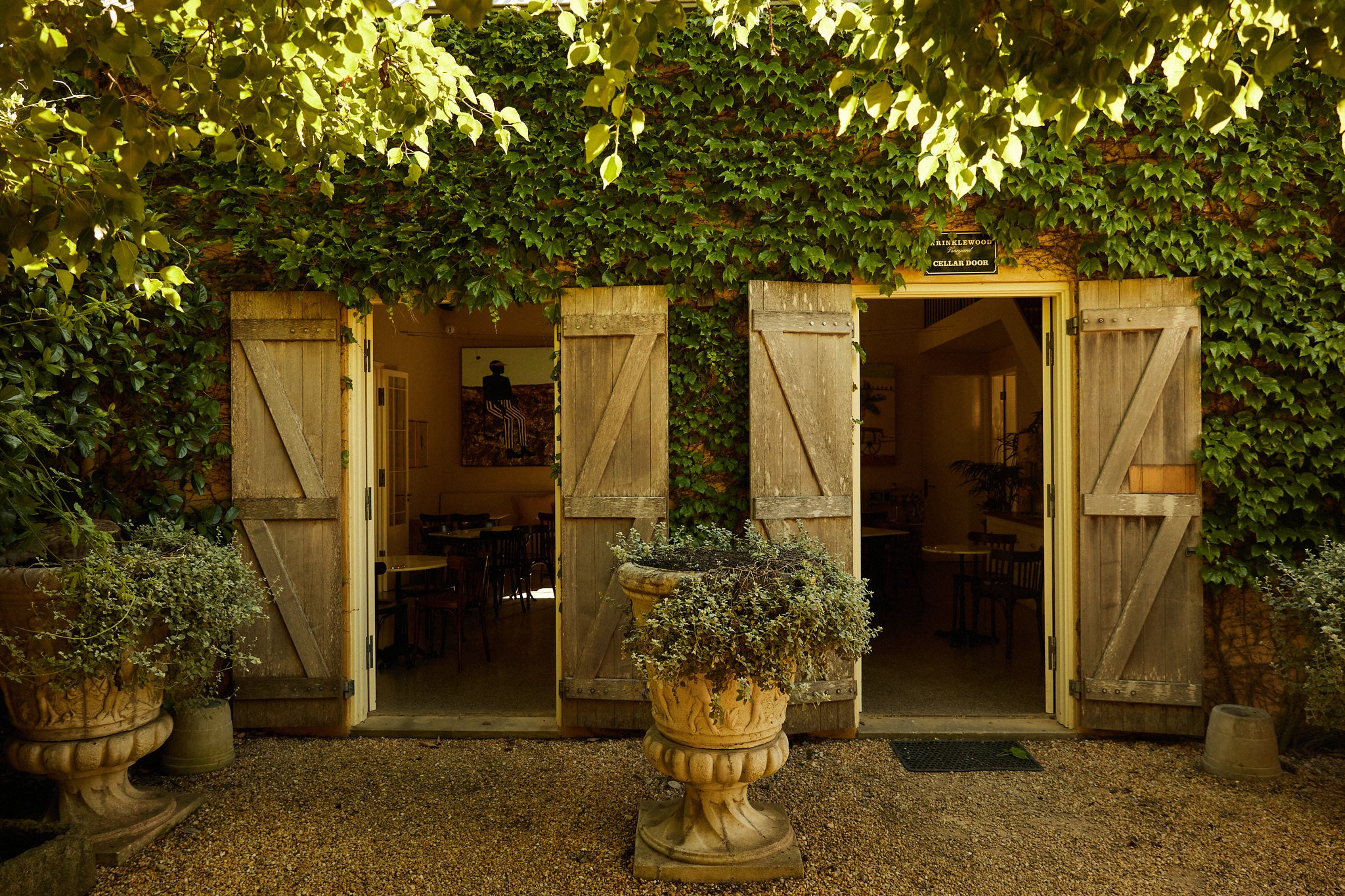 Un Fin de Semana en Krinklewood: Paraíso Vinícola y Canino 1 Un Fin de Semana en Krinklewood: Paraíso Vinícola y Canino 1