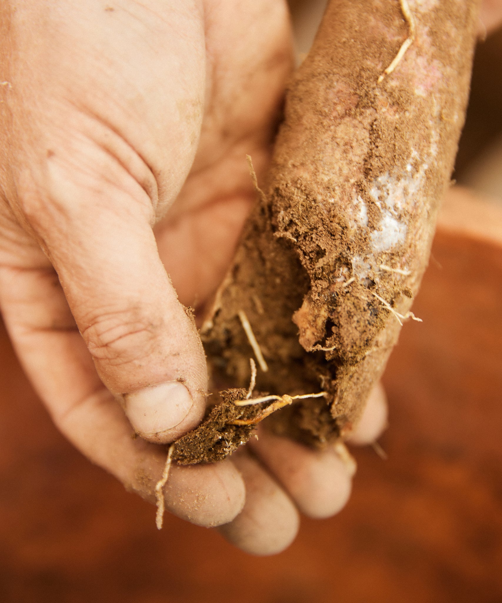 Biodynamic & Organic Certified Farming – Krinklewood Estate Pty Ltd